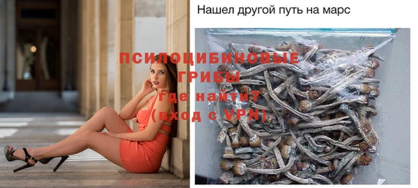 spice Липки