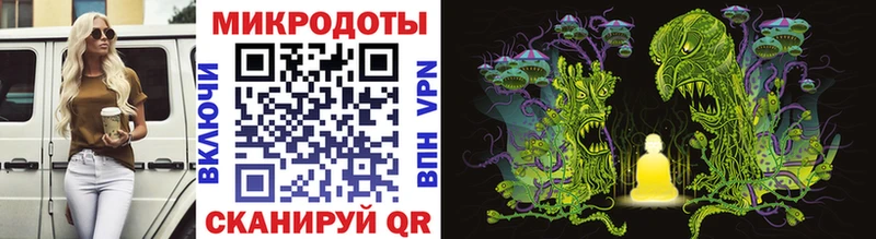 гидра   Евпатория  Галлюциногенные грибы Psilocybine cubensis 