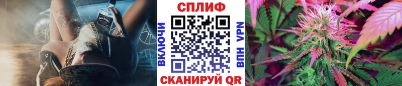 Шишки марихуана планчик  мега ссылка  Евпатория 