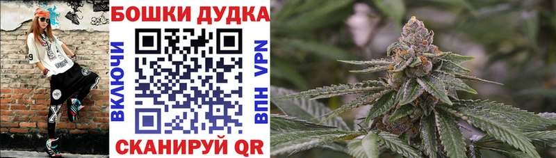 Каннабис OG Kush Евпатория